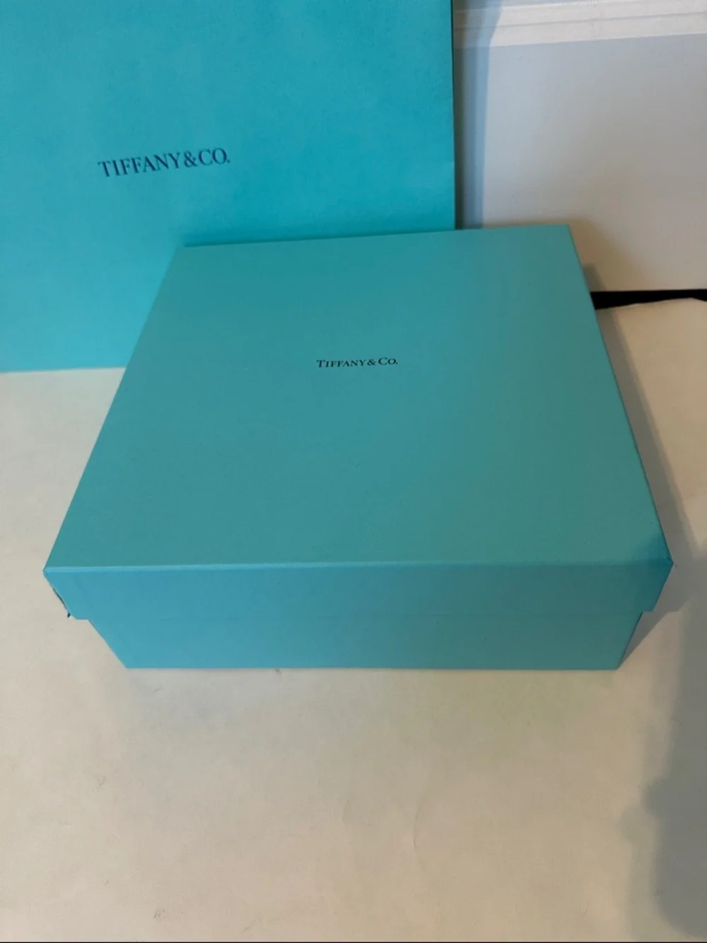 Large Tiffany & Co. Blue Gift Box and Shopping Bag